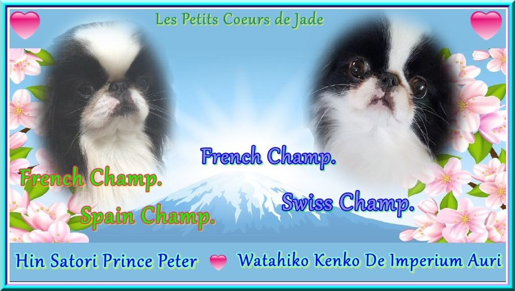 Des Petits Coeurs De Jade - La cigogne est passée pour Watahiko Kenko De Imperum Auri